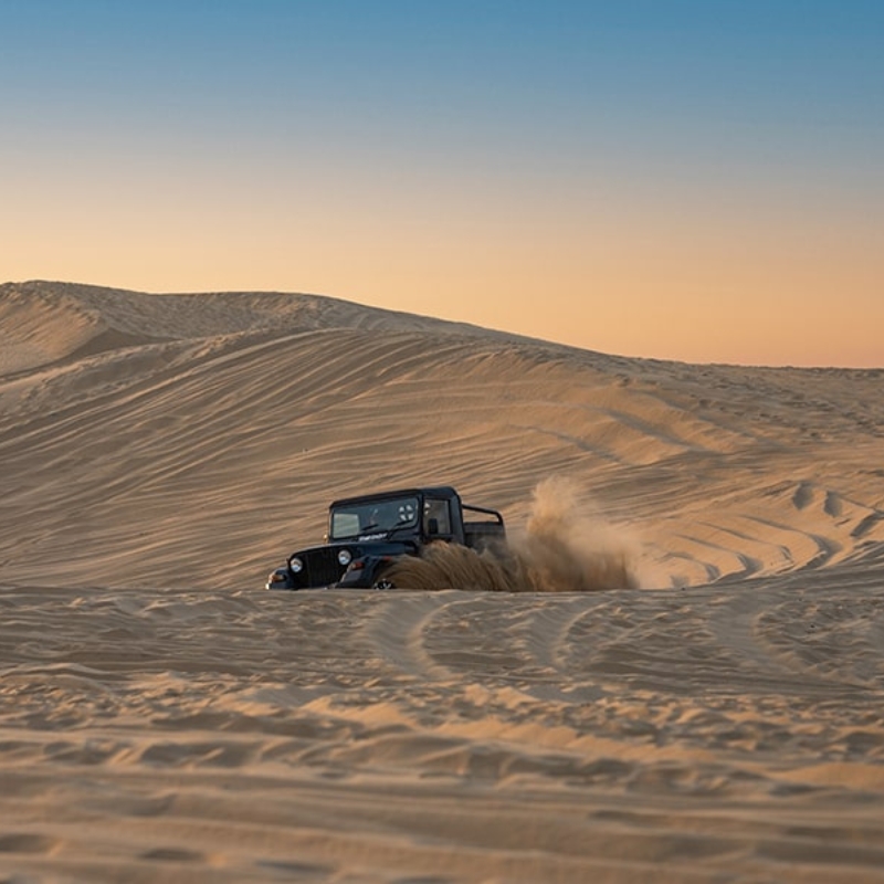 Jaisalmer City Stay & Sightseeing